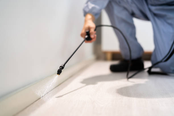 Licensed Pest Control service in Carmichael, CA - Show Me Pest Control